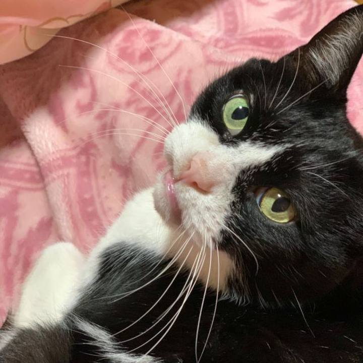 9cd95d3f 979d 441b b436 405d1bfe16e0 1581640725843