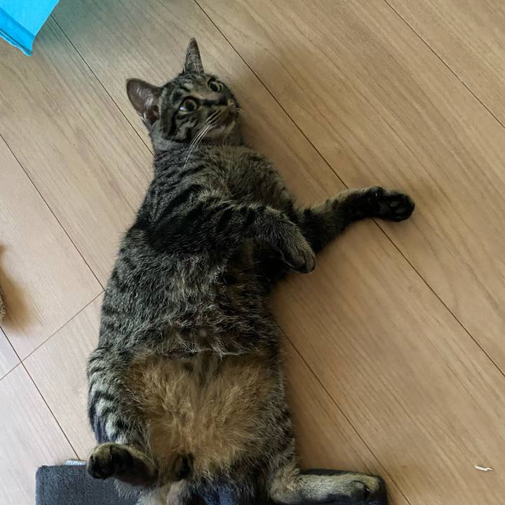 9cd97782 7d64 40a3 930f 23014380cdff 1624275786154