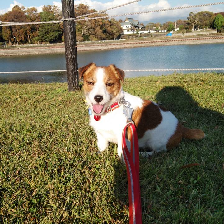 9cd9ba9f 49e4 4ec5 89e5 07f933f8b8fe 1540731573375