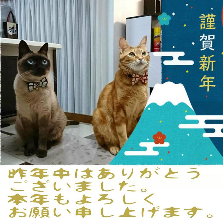 9cd9bf08 c3e9 40a2 aab1 8a2f4819ae51 1514733416917