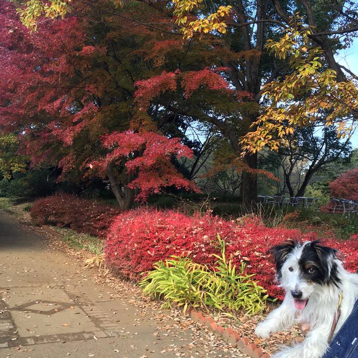 9cd9d62a f152 4912 82e0 04cdc02cbc1e 1511685338473