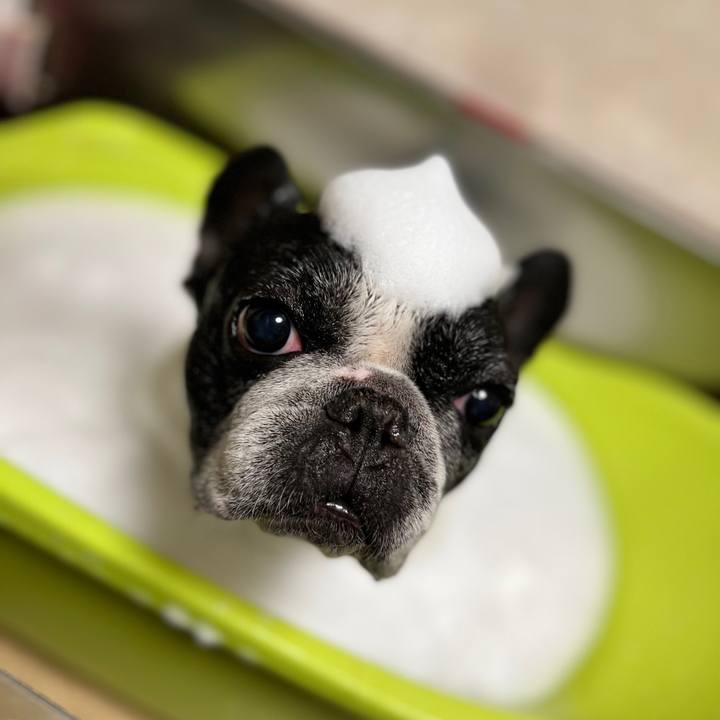 9cda469a 21a8 4120 9b2d b2c4c88a1df6 1657145244643