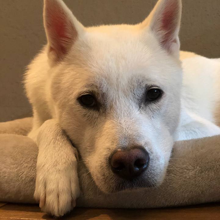 9cda60f8 897d 42dc a9ca 1d36d2e2016d 1595331318455