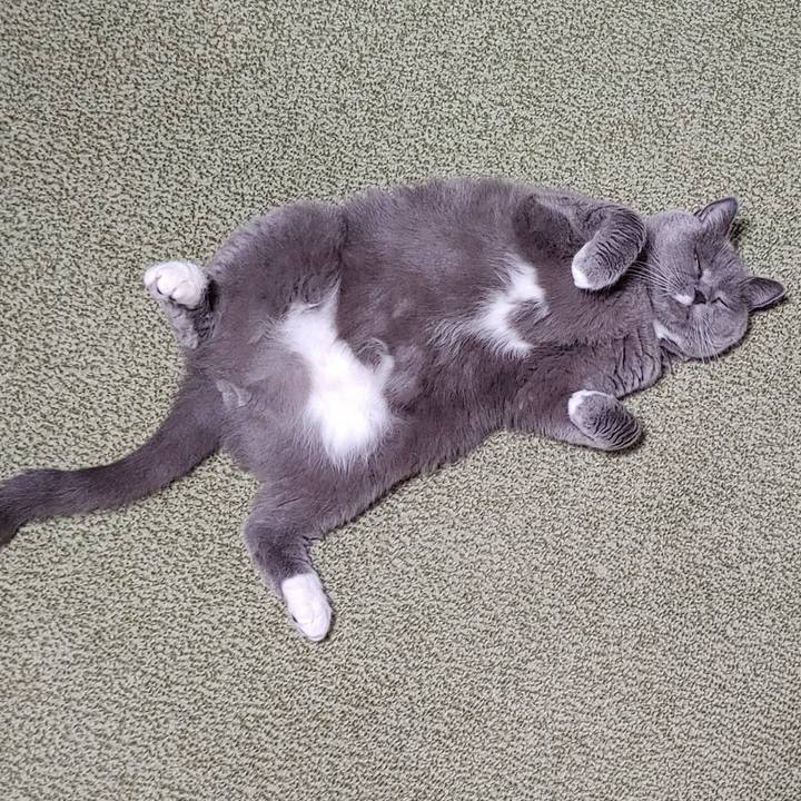 9cda7092 64e4 47c5 93d2 e33a43175e9b 1693051738428