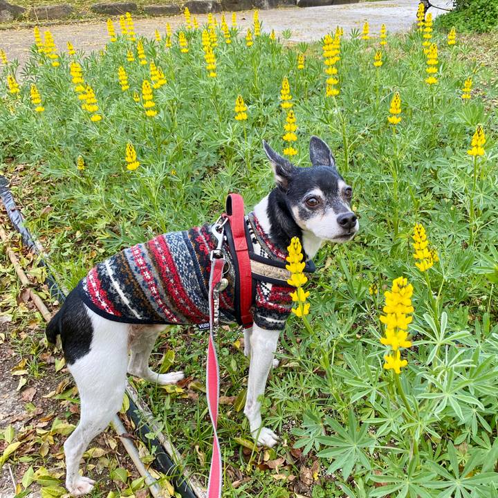 9cda7907 0c71 424c a23d eec5c88f7bb1 1606528134717