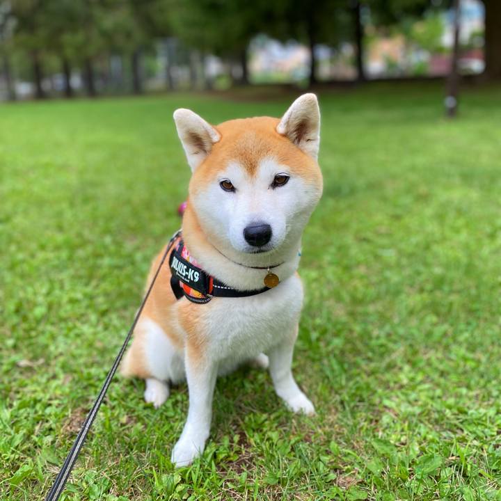 9cda7a4f 52ea 4250 ac90 ef875379e48b 1659437147046