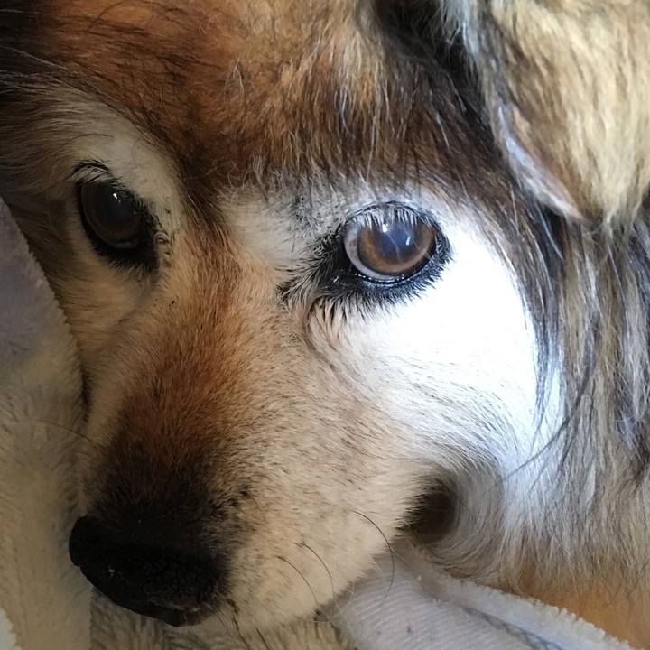 9cdaa5a1 270b 4d9b ba93 40b8a9878554 1569545398065