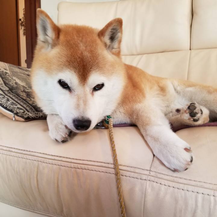 9cdabefa 78c5 46e2 bc3a cffa85e36a0a 1654480023565