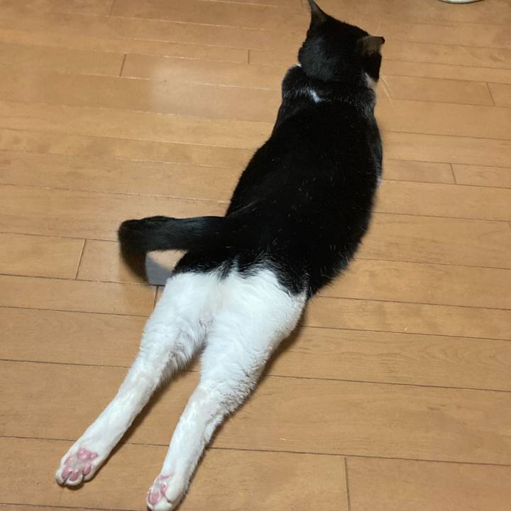 9cdb0704 429b 4e88 a865 2a8cb6b517cb 1638094086049