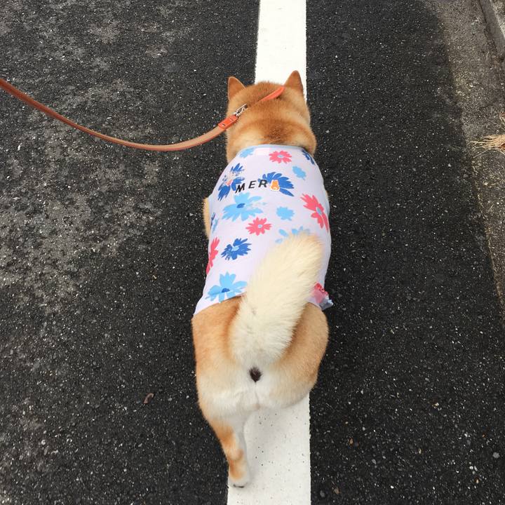 9cdb2e96 2f83 4891 8ef2 122dcd31b811 1566512165377