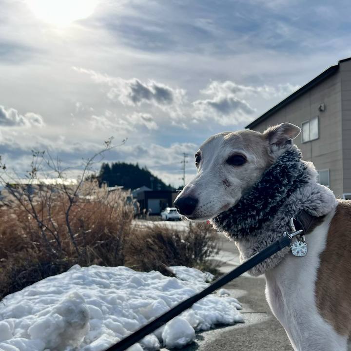 9cdb666d 4652 48fe 84f6 3ac3b7472a02 1765354376902