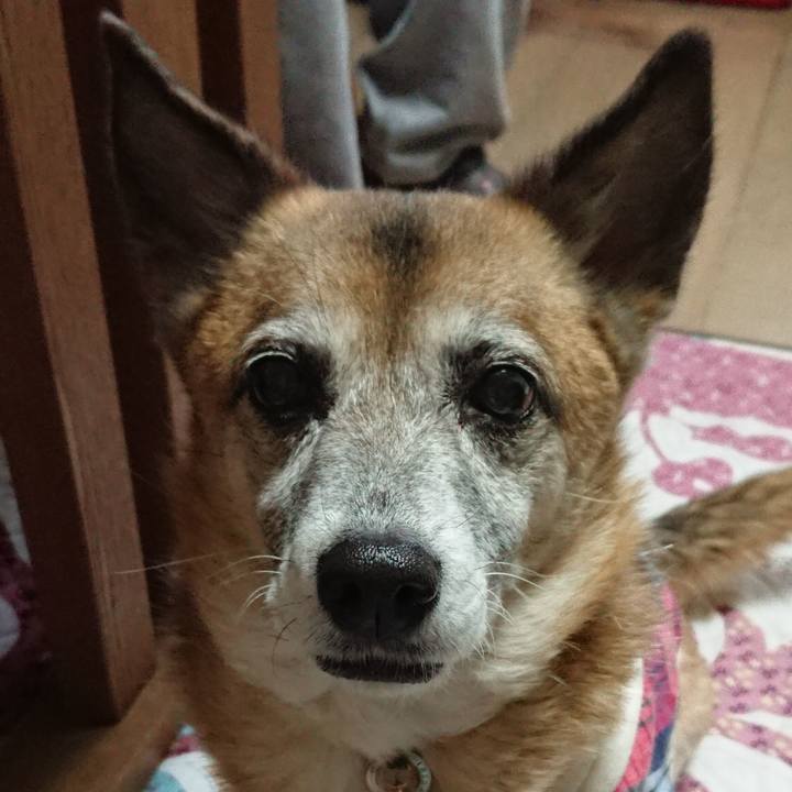 9cdb9c22 f9e8 48a9 8d0e 99b810ef3acb 1550239259544