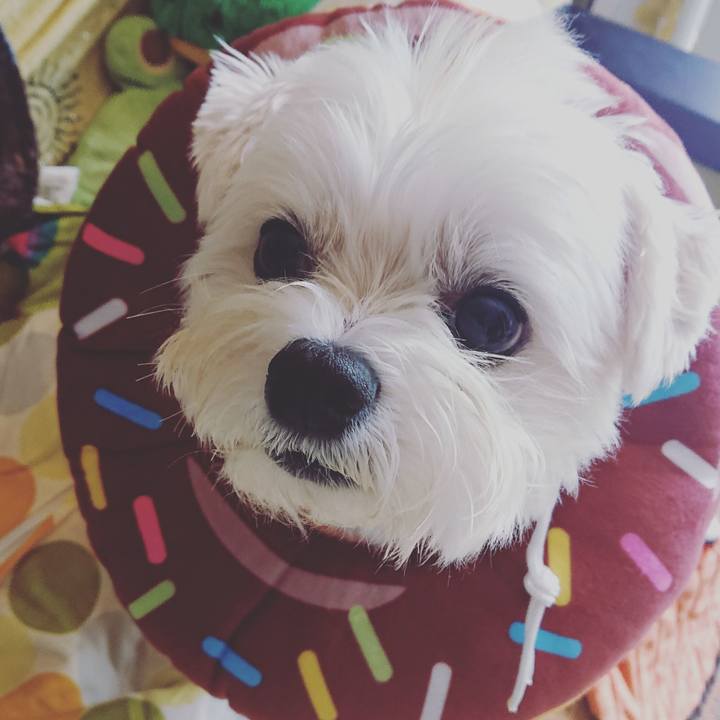 9cdbbd7e 4ab8 4158 b4f6 6cac17f99199 1593831335992