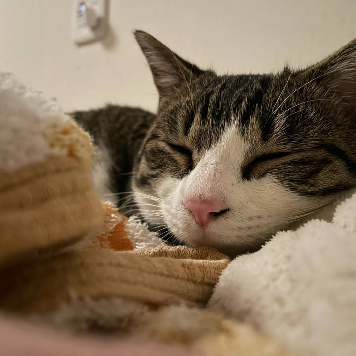 9cdbc702 6cfb 44d1 9527 034c8583ddd5 1736634016911