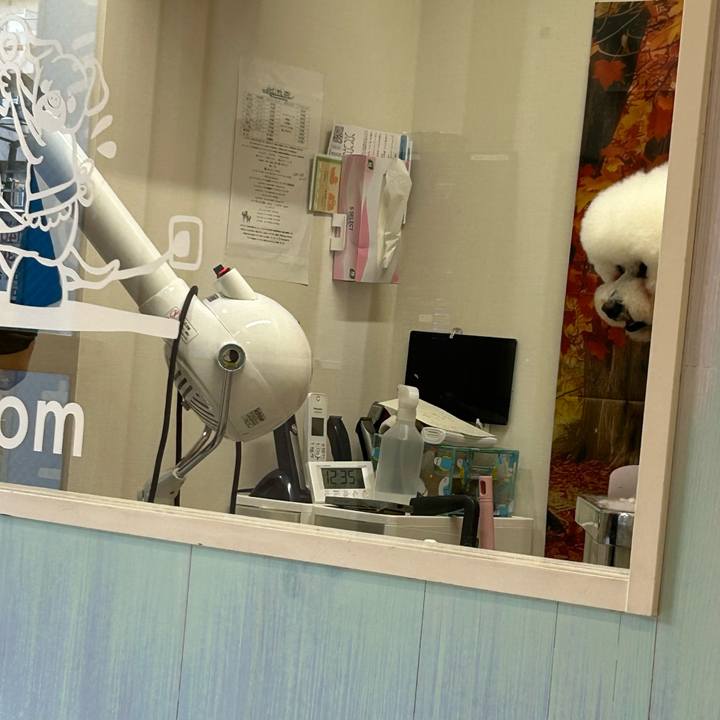 9cdbe600 0d09 48a9 82fd 1f0a4bf0c97e 1763523511453