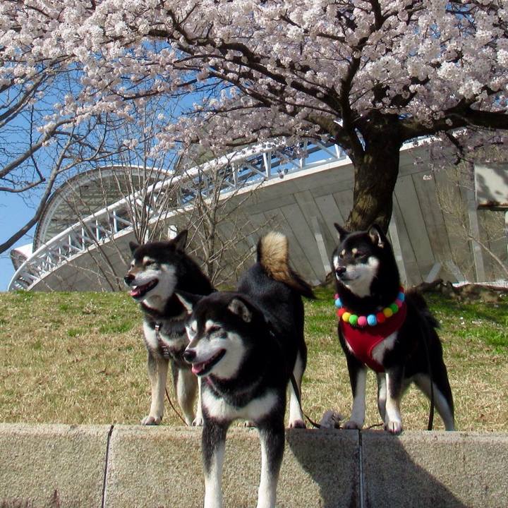 9cdbea4b 8db6 4585 9d3d fa4a3336eccd 1617410332228