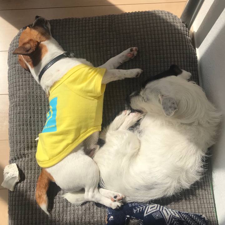 9cdc3f98 096f 4a6a a5f6 14aeaf5d4510 1523594915627