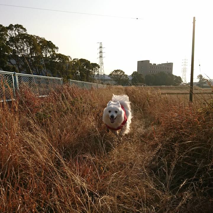 9cdc417f 116d 4096 9947 ec3150c4f9bd 1546927483584