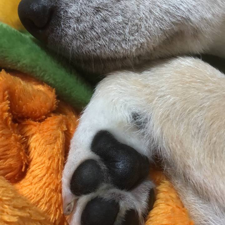 9cdc4358 5974 48ae ad1f ad6ac272c29a 1578460572690