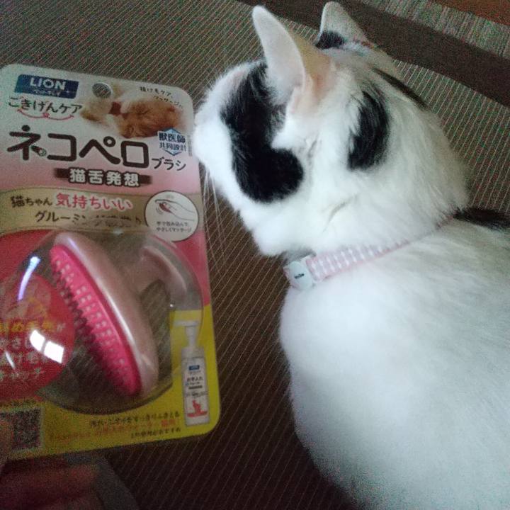 9cdc5f76 91f6 4e89 aefb 617b74411445 1656070692910