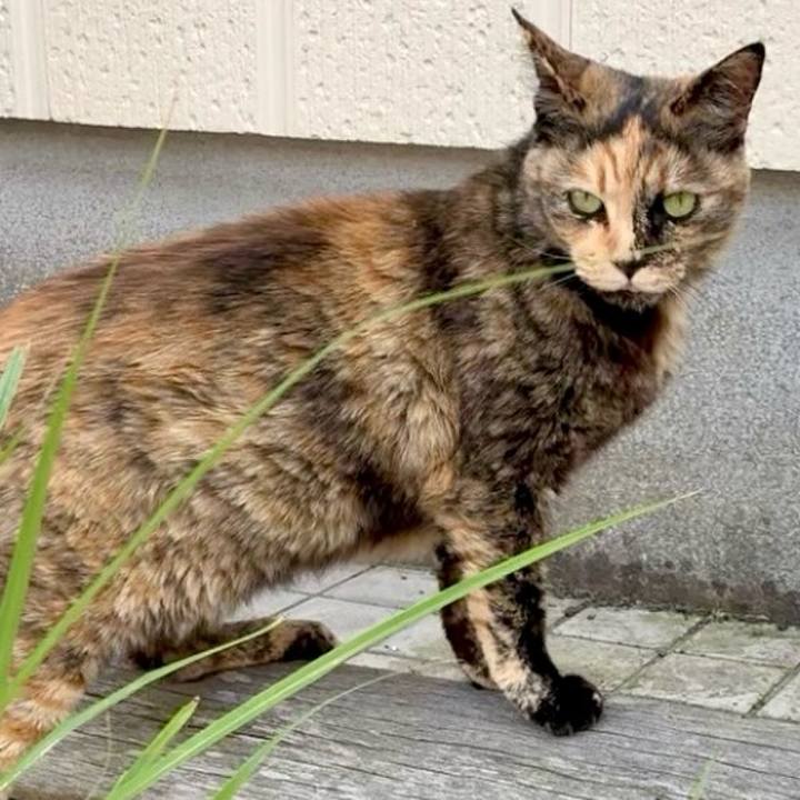 9cdcf65d 59ac 4741 8868 36d6be179b84 1747121509690