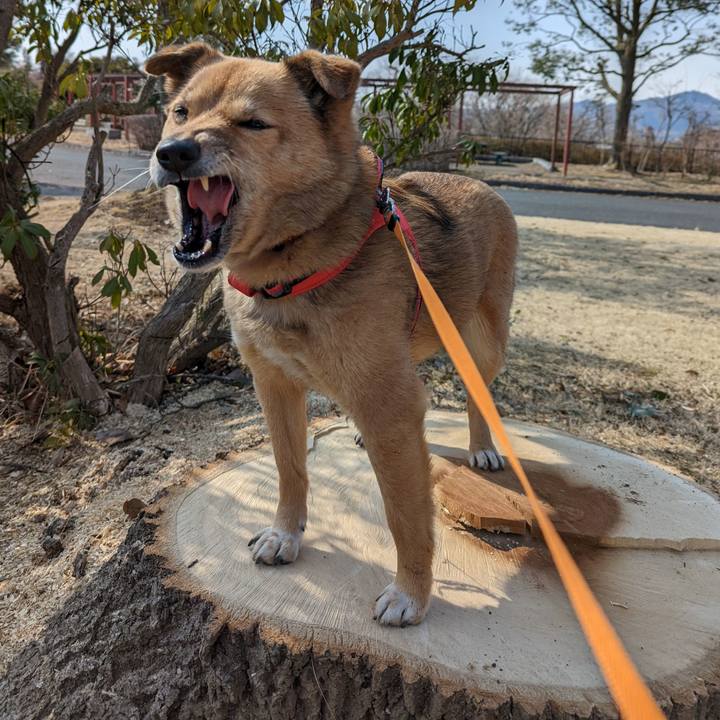 9cdd18c1 bacd 4255 8f3a 7fbcda437abb 1646140653548