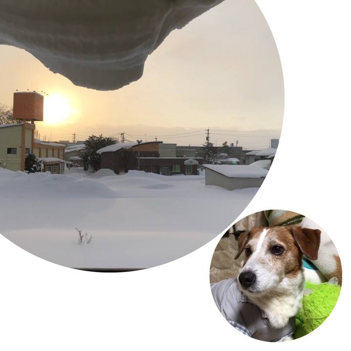 9cdd315c 6209 449a 9da7 6d97b4efa316 1517013813282