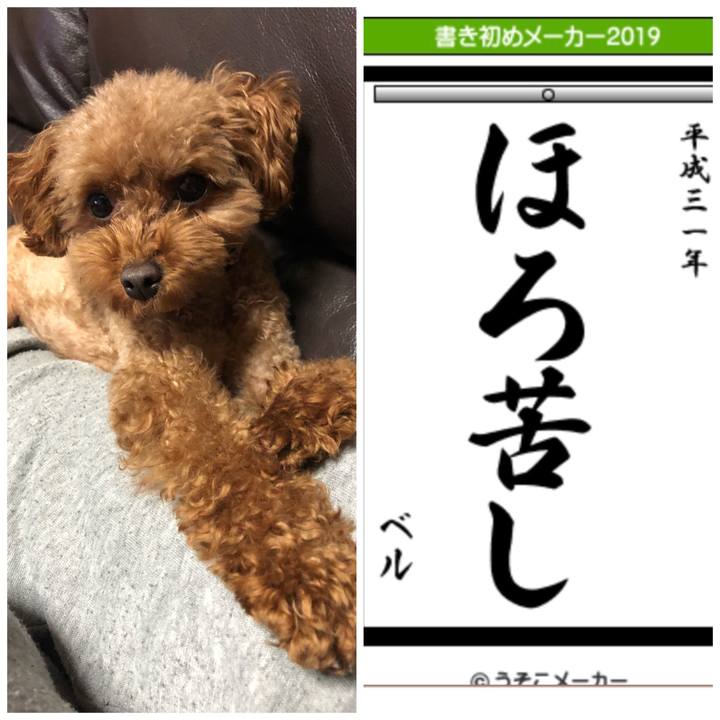 9cddbef3 dca7 4825 83e6 958aa6f5aaaa 1546438699991