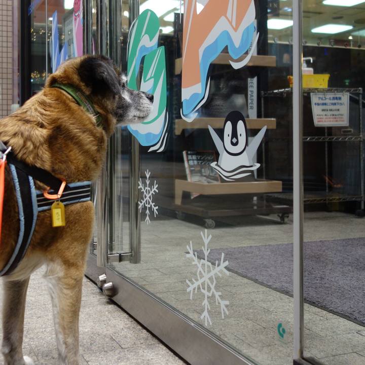 9cdddb70 d81a 476b 9730 bc2c3bcb1b9e 1658017958831