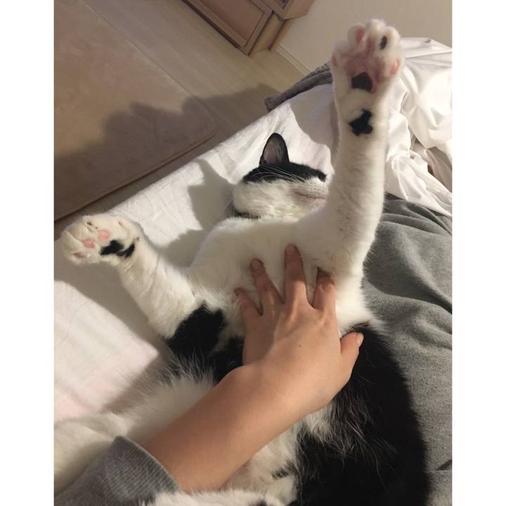 9cdddc60 534e 4d7d 9703 66d5a4b63f9d 1587380529556