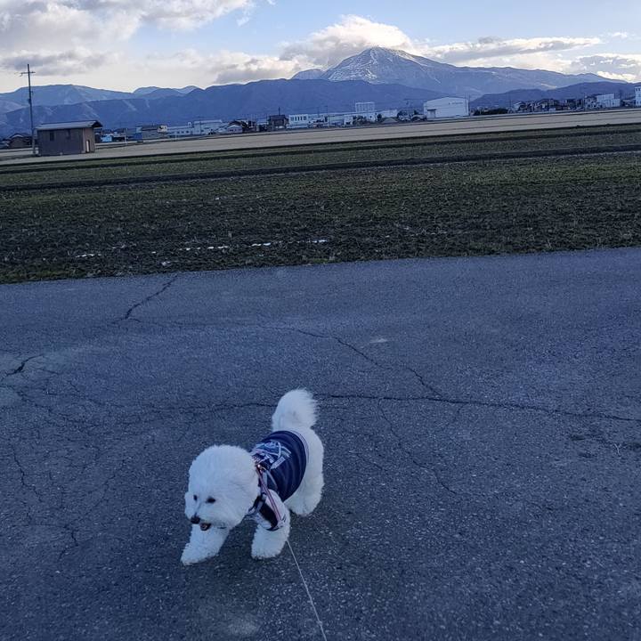 9cde830a ebf4 4aa7 8045 e8a1156100a9 1768131871870