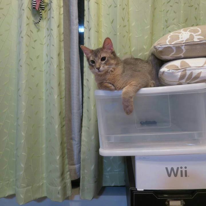 9cdeab76 0e08 41e0 8632 2f60ab7a1d18 1520661059273