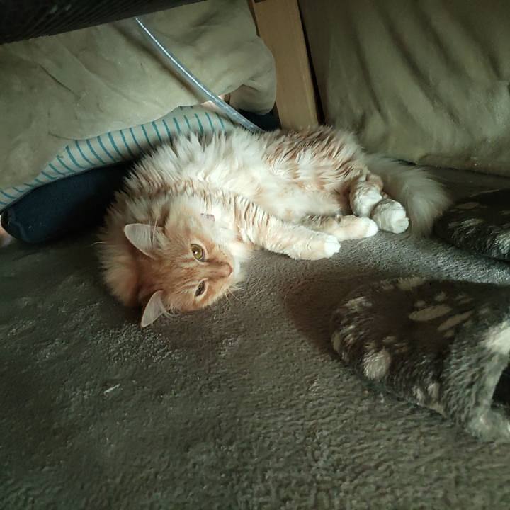 9cdec0b2 249f 44e9 ad0f aca5311d4902 1671932891871