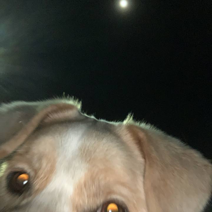 9cdee184 c9c2 430e 9a3f 8c0bbb805d20 1550311457523