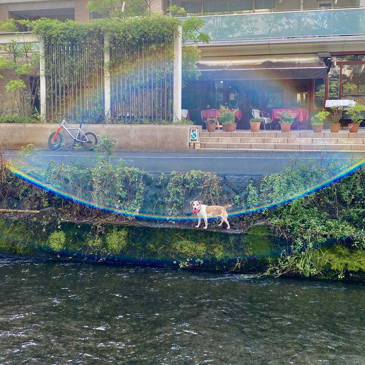 9cdeff60 2c01 4579 80b4 9154a545afd0 1597471831108