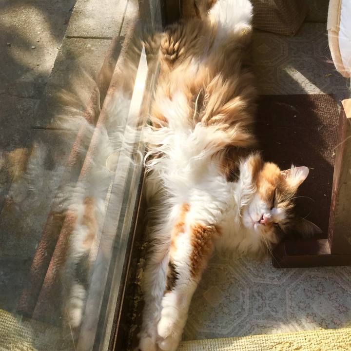 9cdf053b ce3a 4e38 9494 63edafafbd77 1555797316251