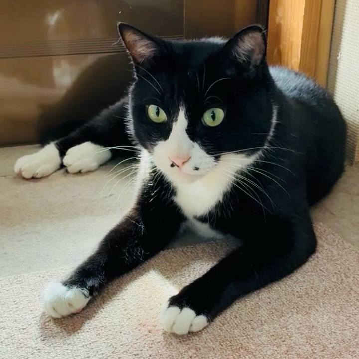 9cdf0842 94ac 4023 b1a7 1fe5d85e55e5 1759809282765