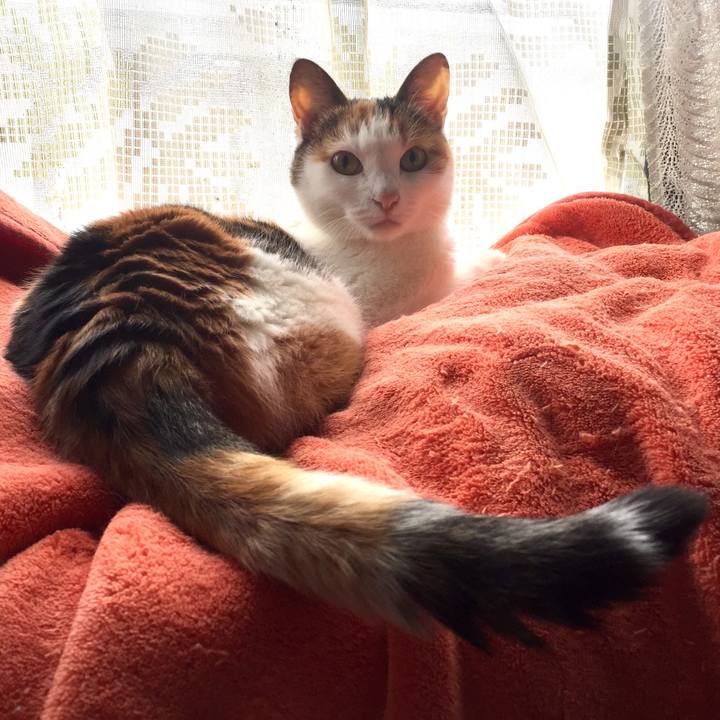 9cdf8a9a 61c4 4785 9b04 d86e06067540 1526703091930