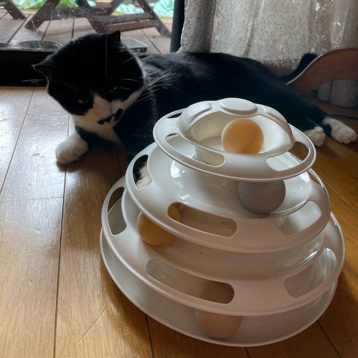 9cdf916e b8a5 462f 94a8 12952ccec43a 1657243803645