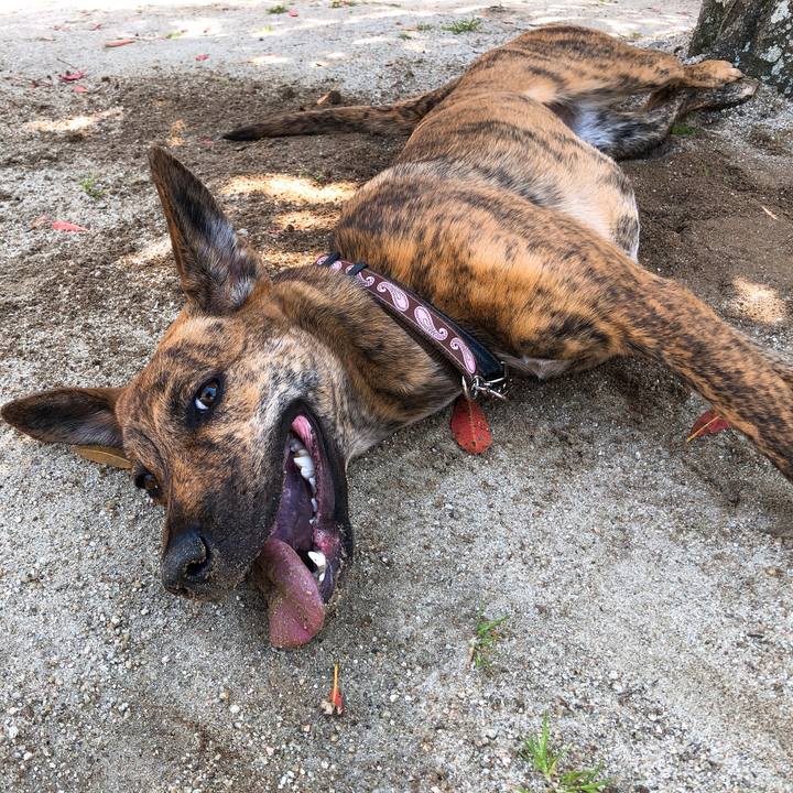 9cdfaeb0 4d7f 42b3 a7a8 50ffd7ce60d7 1587078138549