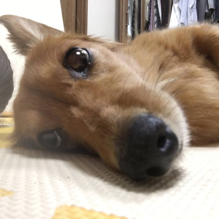 9cdfd1b7 5deb 492a a43f 5d1e747ef820 1530167806337