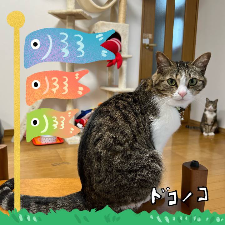 9cdff6d3 056f 4486 9c7d 23c985763627 1714962481828