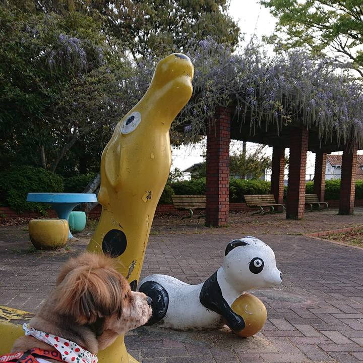 9ce01e41 3587 44e4 9aa0 e437de888e56 1555365392020