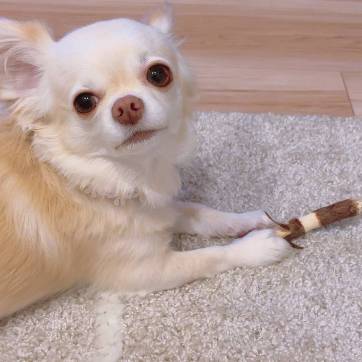 9ce0484d 8fba 4e69 ba79 1176a388fe59 1694258980358