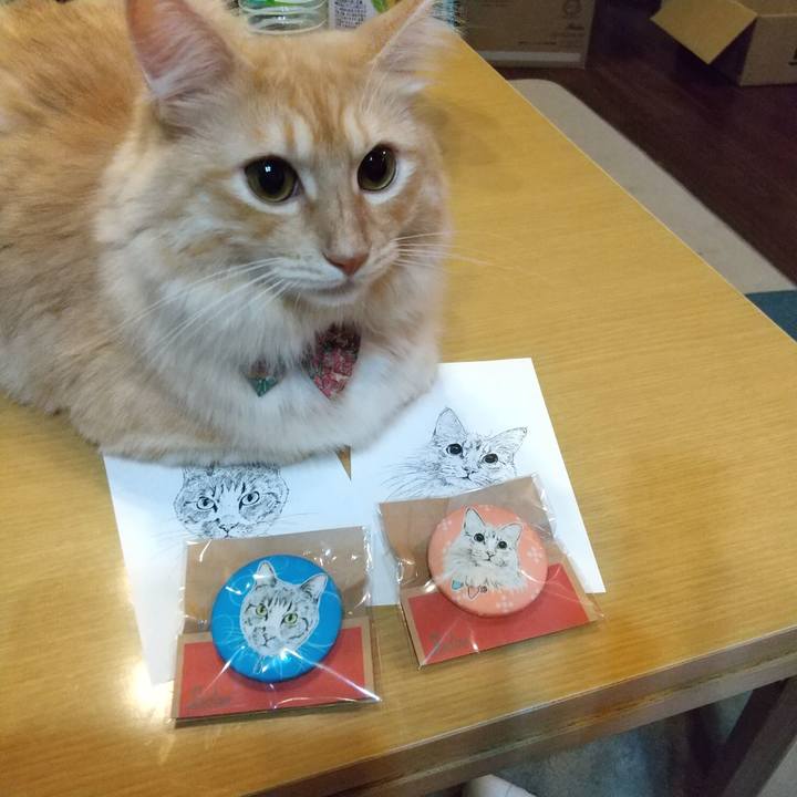 9ce0922f 8b2e 4f7d 9401 e5acb2783cbf 1634376635428