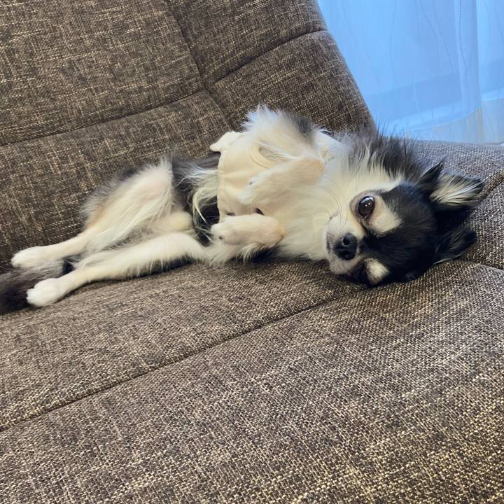 9ce0be2c 030d 4dc7 b781 8b603a454eda 1704538644078