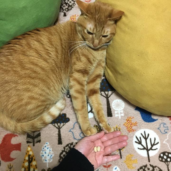 9ce1064d 5eb7 4ba1 acf1 576f40517420 1517744419147