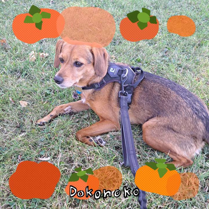 9ce125ec 7256 460a 99e8 6720e4547afa 1761215138213