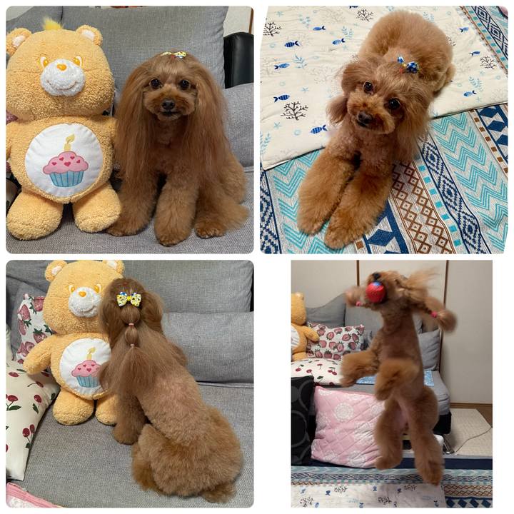 9ce12bb6 be01 4f3c 9eaa 0bb78b5014c0 1757928132842