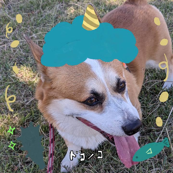 9ce14f32 321e 4af8 b2dd 859f909d312b 1707006621422